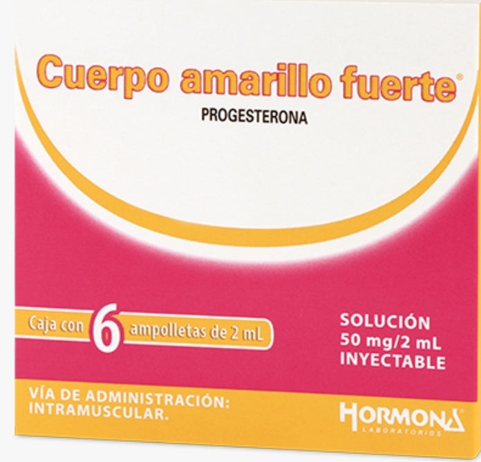 Cuerpo amarillo 6 unidades